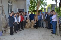 BOSTANCı - 'Kenevir Yetiştiriciliği' Anlatıldı