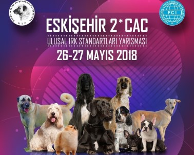 Köpek Irkları Eskişehir'de Yarışacak