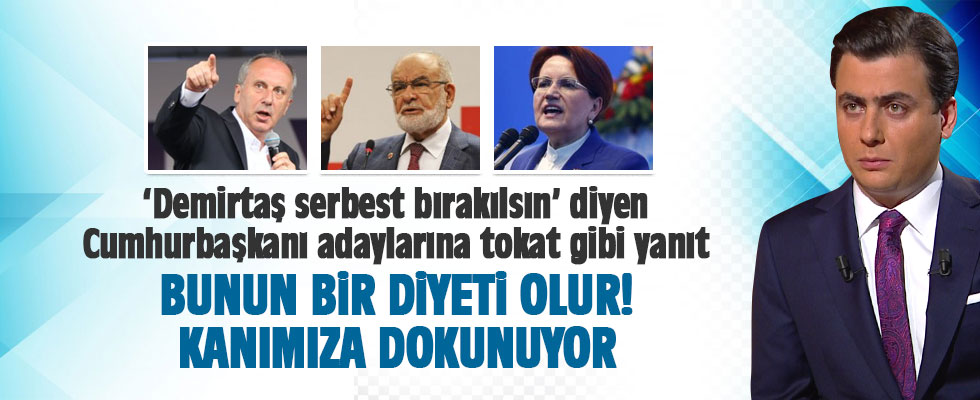 Osman Gökçek: Kanımıza dokunuyor