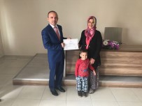 ZEYTİN AĞACI - Burhaniye'de Çiftçiler Belgeli Oldu