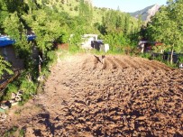 BEYTÜŞŞEBAP - Köylüler Ramazan'da Tarlalarla Gün Boyu Sıcak Terler Döküyor