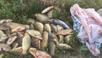 BALIK AĞI - Yasağa Rağmen Balık Avlayan Şahıslar Jandarmadan Kaçamıyor