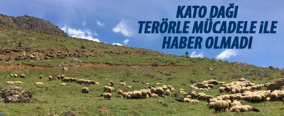 Dağlara terör yerine huzur geldi
