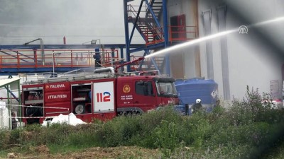 GÜNCELLEME - Yalova'da Kimya Fabrikasında Yangın
