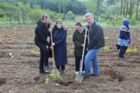 İPEKBÖCEĞİ - Gürsu'da İpek Böceği Yetiştirilecek