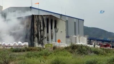 Yalova'da Kimya Fabrikasında Yangın