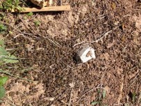 ZEYTINLIK - Bilinçsiz İlaçlama Arıları Telef Ediyor