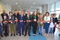 TIBBİ BİTKİLER - Düzcenin Otları Sağlık Hazinesidir