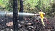 ŞİDDETLİ RÜZGAR - Hatay'daki Orman Yangını