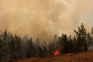 Hatay'daki Orman Yangınını Söndürme Çalışmaları Devam Ediyor