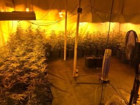 KARGıCAK - Lüks villaya giren Jandarma gözlerine inanamadı