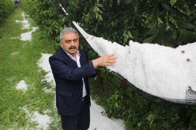 Karaman'da Dolu Elma Ağaçları Ve Ekili Alanlara Zarar Verdi