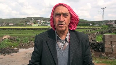 Şanlıurfa'da Sağanak