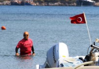 BITEZ - Siyah Kuğu Bodrum'u Ayağa Kaldırdı