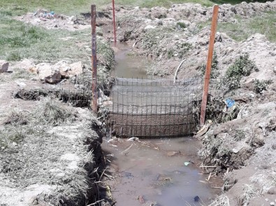 Sulama Kanalında İnci Kefali İçin Önlem