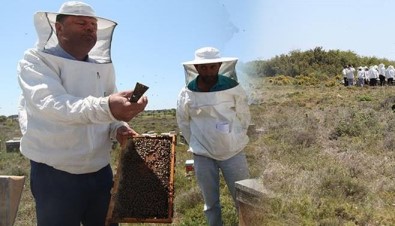 Bozcaada'da Arı Üreticilerine Sertifikaları Törenle Dağıtıldı