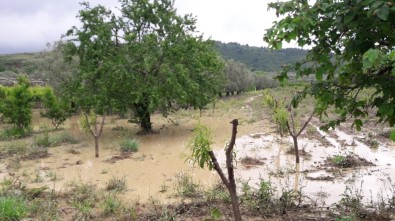 Bursa'da Çiftçiyi Sağanak Yağıştan Sonra Dolu Da Vurdu