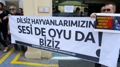 Hayvan Hakları Savunucularından Bakırköy Belediyesi'ne Tepki