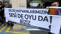 BÜLENT KERIMOĞLU - Hayvan Hakları Savunucularından Bakırköy Belediyesi'ne Tepki