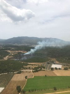 İzmir Menderes'te Orman Yangını