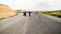 Konya'da Trafik Kazası Açıklaması 1 Ölü, 1 Yaralı Haberi