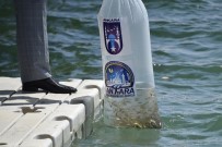 TARIM VE HAYVANCILIK BAKANLIĞI - Başkent'te Balıkçılık Artırılacak