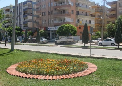 Haliliye'de Parklar Çiçeklerle Donatıldı