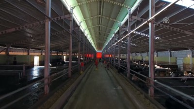 Mahkumlardan Manda Yetiştiriciliğine Destek