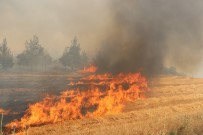 KARAKURT - Anız Yangını Ormana Sıçradı