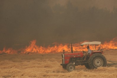 Denizli'de Orman Yangını Kontrol Altına Alındı