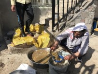 ÜLSER - Dut Pekmezi Yapımına Başlandı