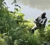 ALIBEYKÖY - İstanbul'da Derede Can Pazarı !