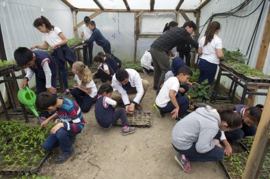 Öğrencileri, Toprak Ve Hayvan İle Buluşturan Okul