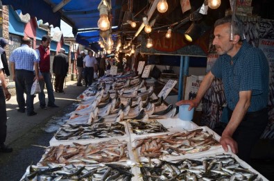 Trabzon'da Balık Fiyatları Geçen Yılın Aynı Dönemine Göre Yüzde 50 Arttı