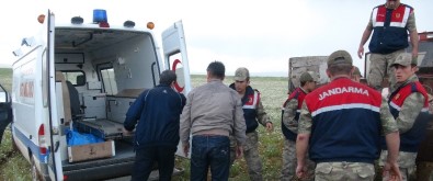 Erzurum'da Yıldırımın İsabet Ettiği 4 Çoban Yaralandı
