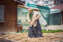 ŞEHİT YAKINI - Hobi Bahçelerinde Üretmenin Keyfini Yaşıyorlar