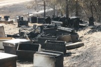 KAYGıSıZ - İçler Acısı Manzara Orman Yangını Söndürülünce Ortaya Çıktı