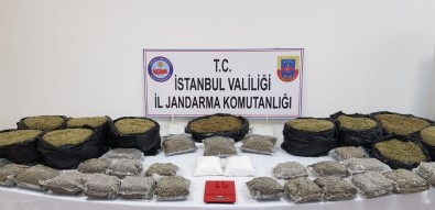 Jandarmadan Uyuşturucu Operasyonu Açıklaması 40 Kilo Bonzai Ele Geçirildi