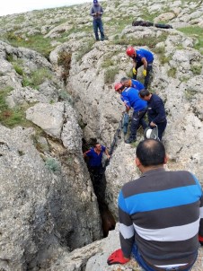 Kayalıkların Arasına Sıkışan Atı AFAD Ekipleri Kurtardı