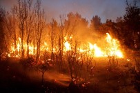 HAKTAN GÖKÇEKUYU - Seydikemer'de Orman Yangını Açıklaması 20 Hektar Alan Yandı
