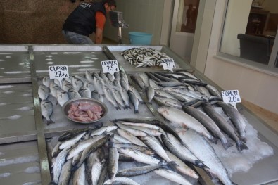 Sinop'ta Ramazan'da Balık Satışları Düştü