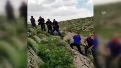 Sivas'ta Kayalıklara Sıkışan At Kurtarıldı