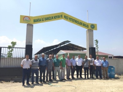 Ağıl Projesinde Sona Gelindi