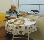 MUHABBET KUŞU - Akıllı Karga Her İftar Sofrada