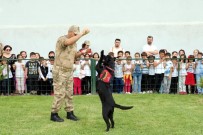 AYIŞIĞI - Jandarma Erzak Tespit Köpeği 'Bahis' Öğrencilerin Gözdesi Oldu