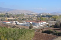 MAKINE MÜHENDISI - Zile'ye 20 Milyon TL'lik Atık Su Arıtma Tesisi Yapıldı