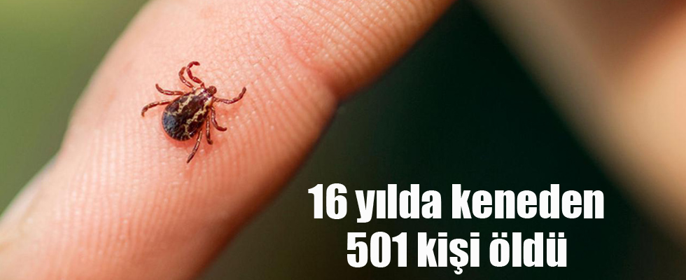 16 yılda keneden 501 kişi öldü