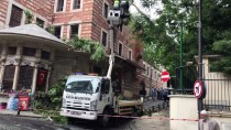 İSTANBUL VALİLİĞİ - Ağacın Kopan Dalları Caminin Çatısına Düştü