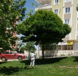 SOSYAL TESİS - Şahinbey'de Parklar İlaçlanıyor