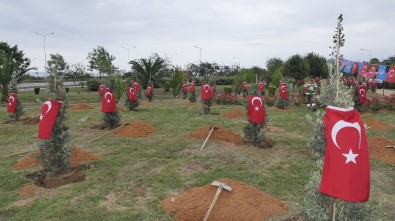 Afrin Şehitleri İçin Trabzon'da Hatıra Ormanı Oluşturuldu